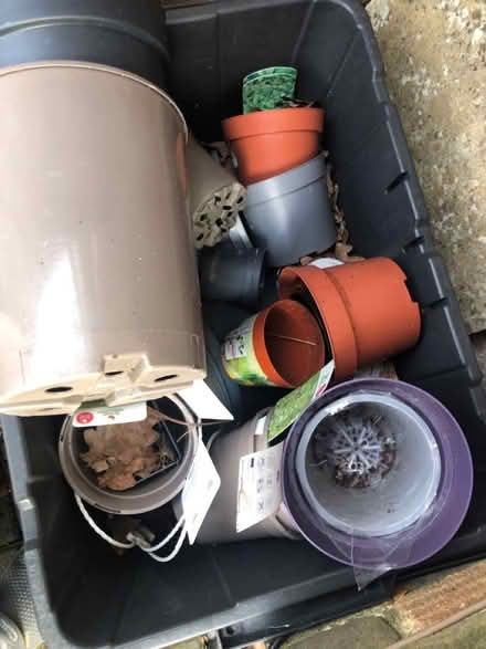 Photo of free Flower pots (Lu2) #3