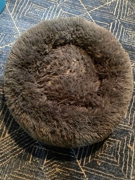 Photo of free Cat bed (St. Johns) #1