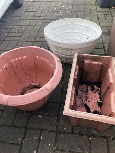 Photo of free Flower pots (Lu2) #2