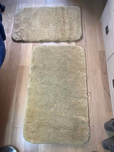 Photo of free 2 bath mats (NW Bend) #1