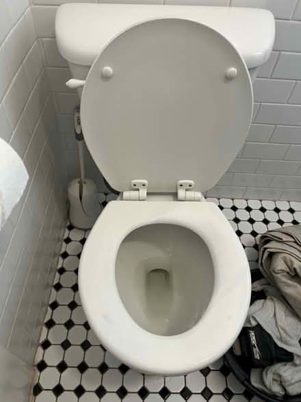 Photo of free Round toilet (Downtown Mountain View) #1