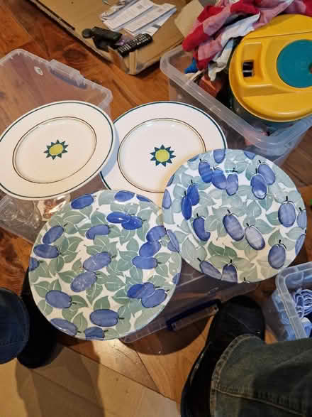 Photo of free Four dinner plates (bn3 1bb) #1