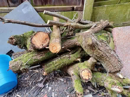 Photo of free Wood for burning (Gatley SK8) #1