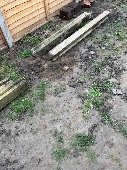 Photo of free Concrete fence posts - WF1 (WF1 St John’s) #1