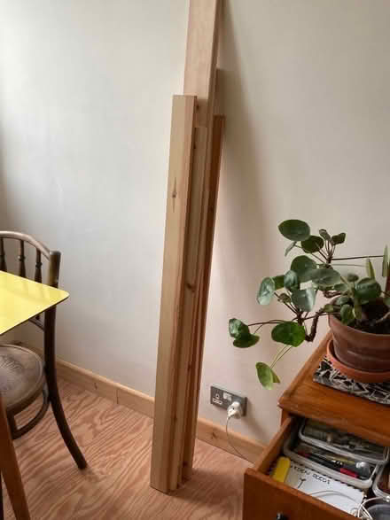 Photo of free Misc offcuts of softwood timber and ply (E8) #3