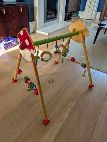 Photo of free Baby activity arch (Chelmsford CM1) #1