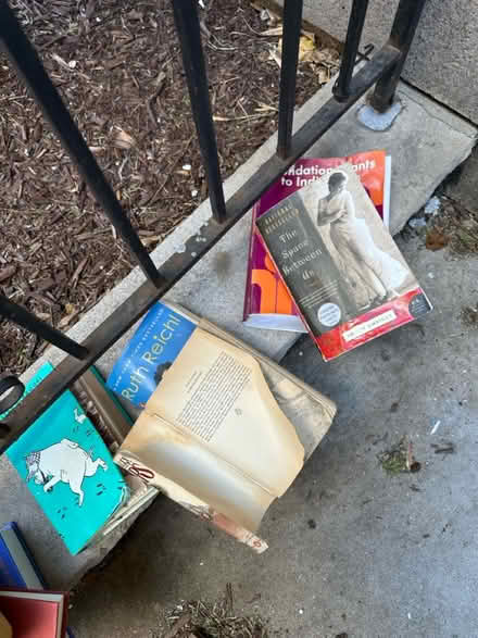 Photo of free Curb alert (books) (UWS (W. 85th & Riverside Dr.)) #1