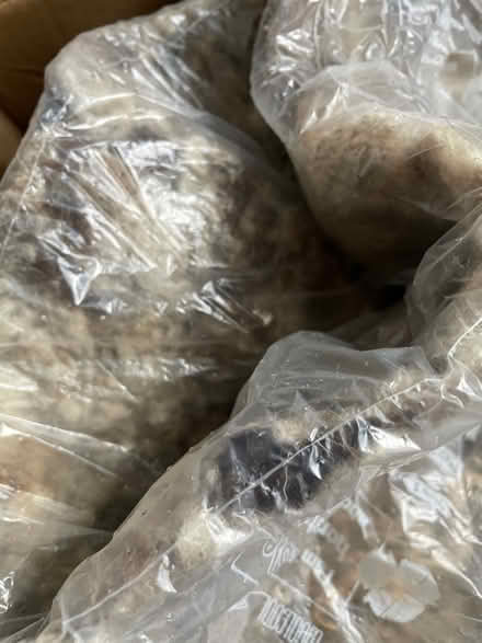 Photo of free Insulation wool (Staines-upon-Thames TW18) #2