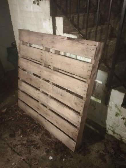 Photo of free 1x wooden pallet great condition (BN7) #1