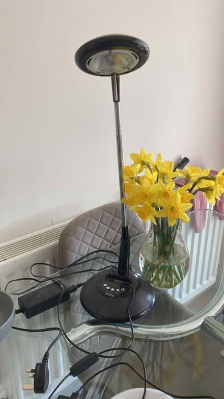 Photo of free Office lamp (Maidenhead SL6) #1