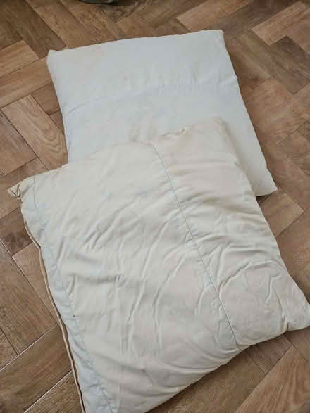 Photo of free 16 x 16 inc feather cushions (Church RG2) #1