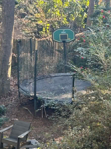 Photo of free Trampoline (Sandy Springs-Riverside Dr) #1