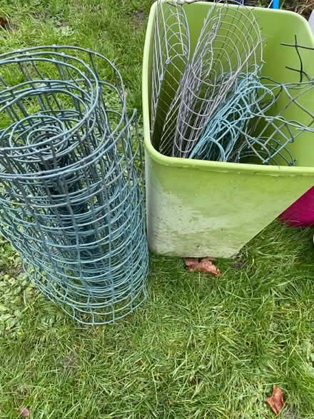 Photo of free Selection of chicken wire (Gibbonsdown CF63) #1