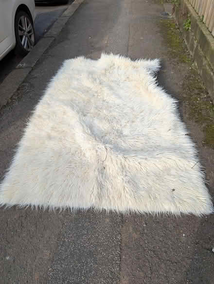 Photo of free Large woolly rug (Shipley BD18) #1