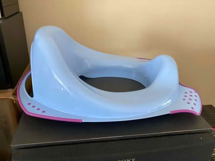 Photo of free Potty Seat (Darien (75th St/west of Cass)) #1