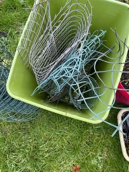 Photo of free Selection of chicken wire (Gibbonsdown CF63) #2