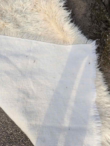 Photo of free Large woolly rug (Shipley BD18) #2