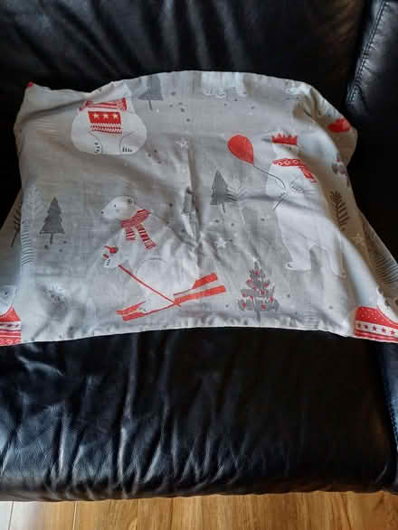 Photo of free Christmas Bedding (Royal Leamington Spa CV32) #1