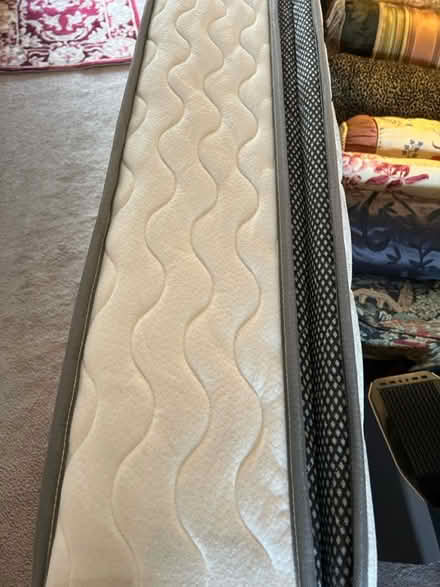 Photo of free Twin classic mattress (Off of quince orchard road) #4