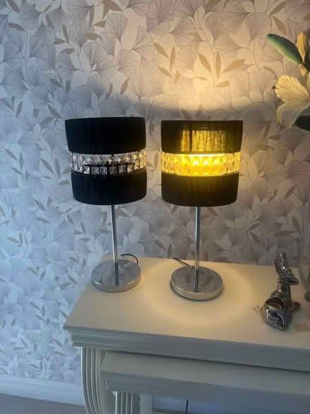 Photo of free Pair of chrome lamps. (Swindon SN3) #1