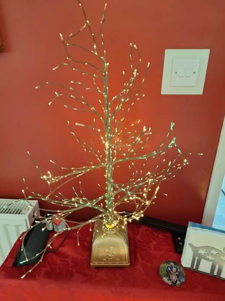 Photo of free Fibre Optic Tree (CT12) #1