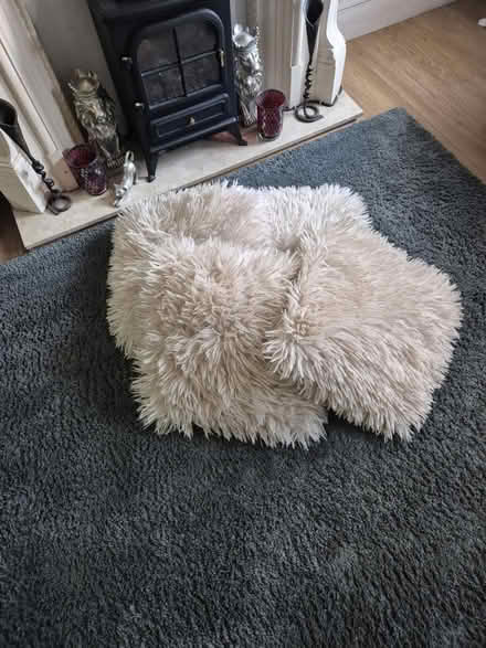 Photo of free Cream cushions (CW7) #1