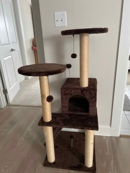 Photo of free Cat tree tower and scratching post (Newtown, Pa) #1