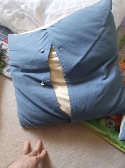 Photo of free Cushions (Wallington, SM6) #3