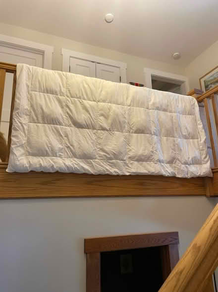 Photo of free Full Down ALTERNATIVE Comforter (Near 11 and Woodward) #2