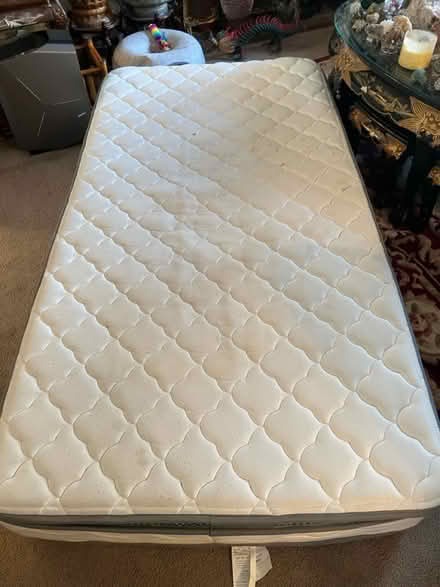 Photo of free Twin classic mattress (Off of quince orchard road) #1