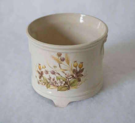 Photo of free Plant pot (Parsons Green SW6) #1
