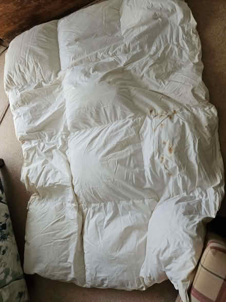 Photo of free Single feather duvet, used (Church RG2) #1