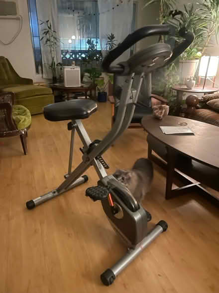 Photo of free stationary bike (east hollywood) #1