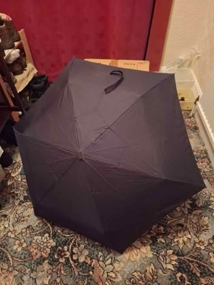 Photo of free Umbrella (Harrogate HG1) #1