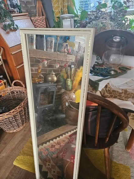 Photo of free 2 x bronze "industrial "light shades and 1 x long mirror (Emsworth PO10) #4