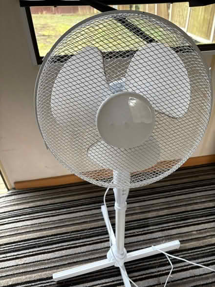 Photo of free Fan (Borrowash DE72) #1