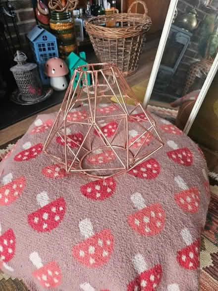 Photo of free 2 x bronze "industrial "light shades and 1 x long mirror (Emsworth PO10) #2