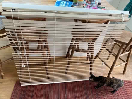 Photo of free Cream venetian blind (CT5) #2