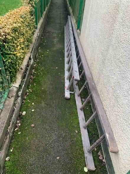 Photo of free 2 x long ladders (Stechford B33) #1