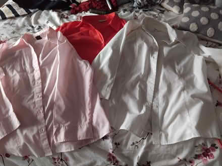 Photo of free Three blouses. (Bracknell RG42) #1