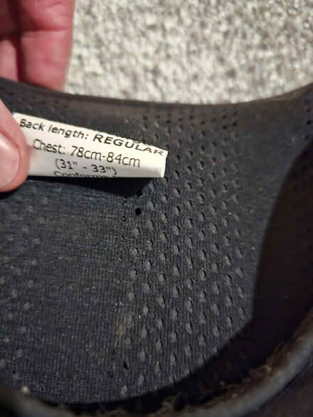 Photo of free Body Protector for Horse Riding (Leslie KY6) #3