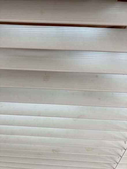 Photo of free Cream venetian blind (CT5) #3