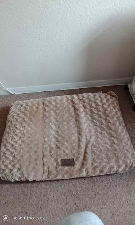 Photo of free Cat/Dog bed (Hadleigh/Benfleet) #1