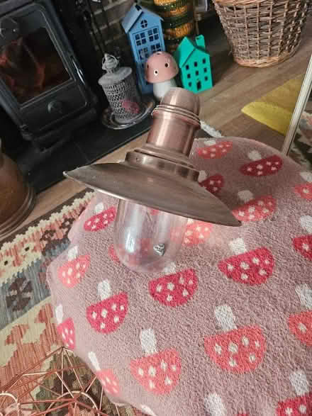 Photo of free 2 x bronze "industrial "light shades and 1 x long mirror (Emsworth PO10) #1