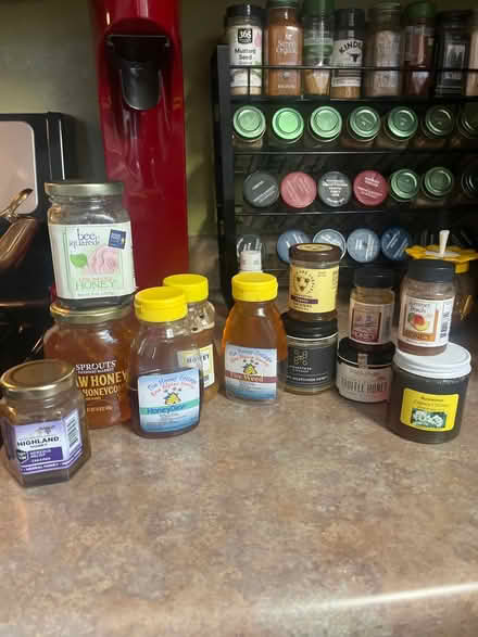 Photo of free honey (Old North End) #1