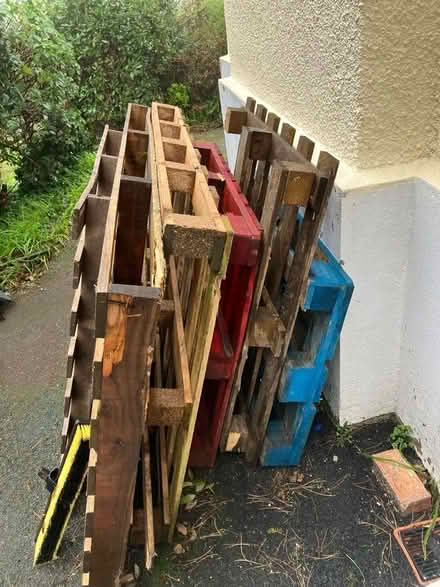 Photo of free Pallets (Newton Abbot TQ12) #1