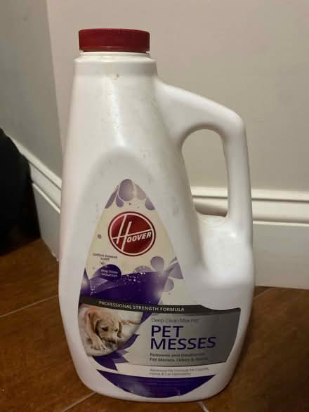 Photo of free Pet messes cleaning formula (East Somerville) #1