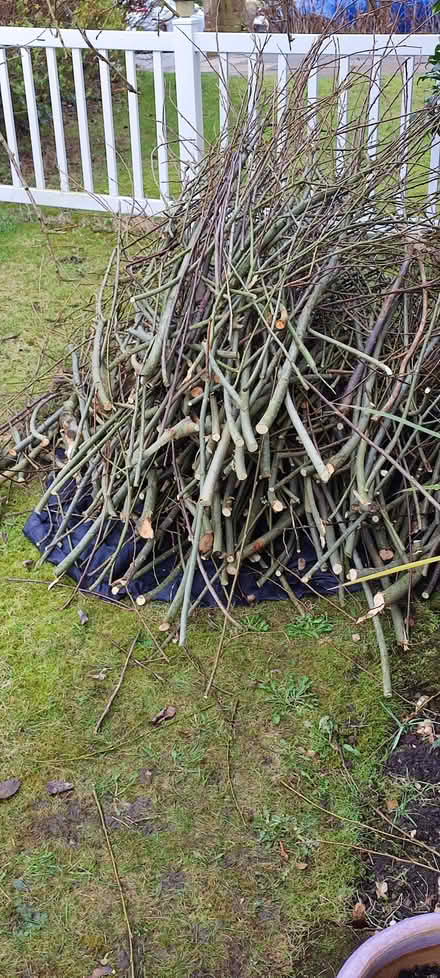 Photo of free willow rods / whips (Northowram HX3) #2