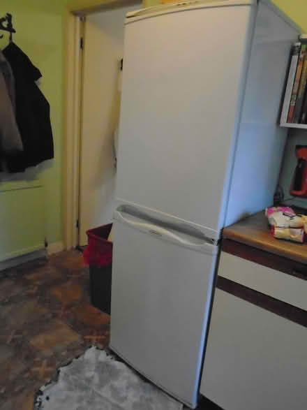 Photo of free Fridge freezer 50:50 (Heybridge CM9 4) #3