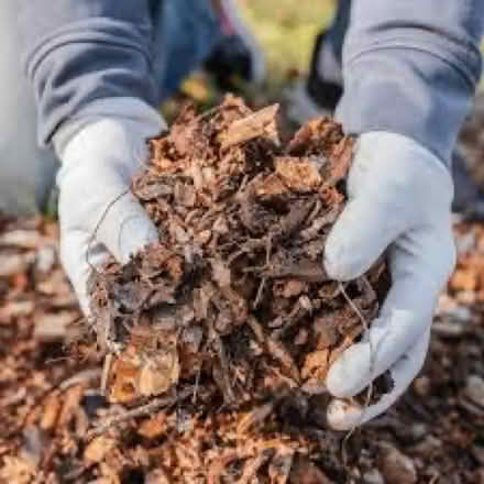 Photo of Compost or bark (CV34 5JQ) #3